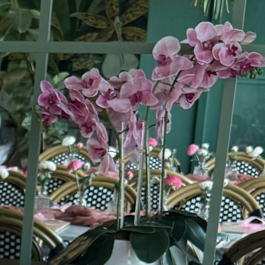 Orquídeas rosas Magic Events